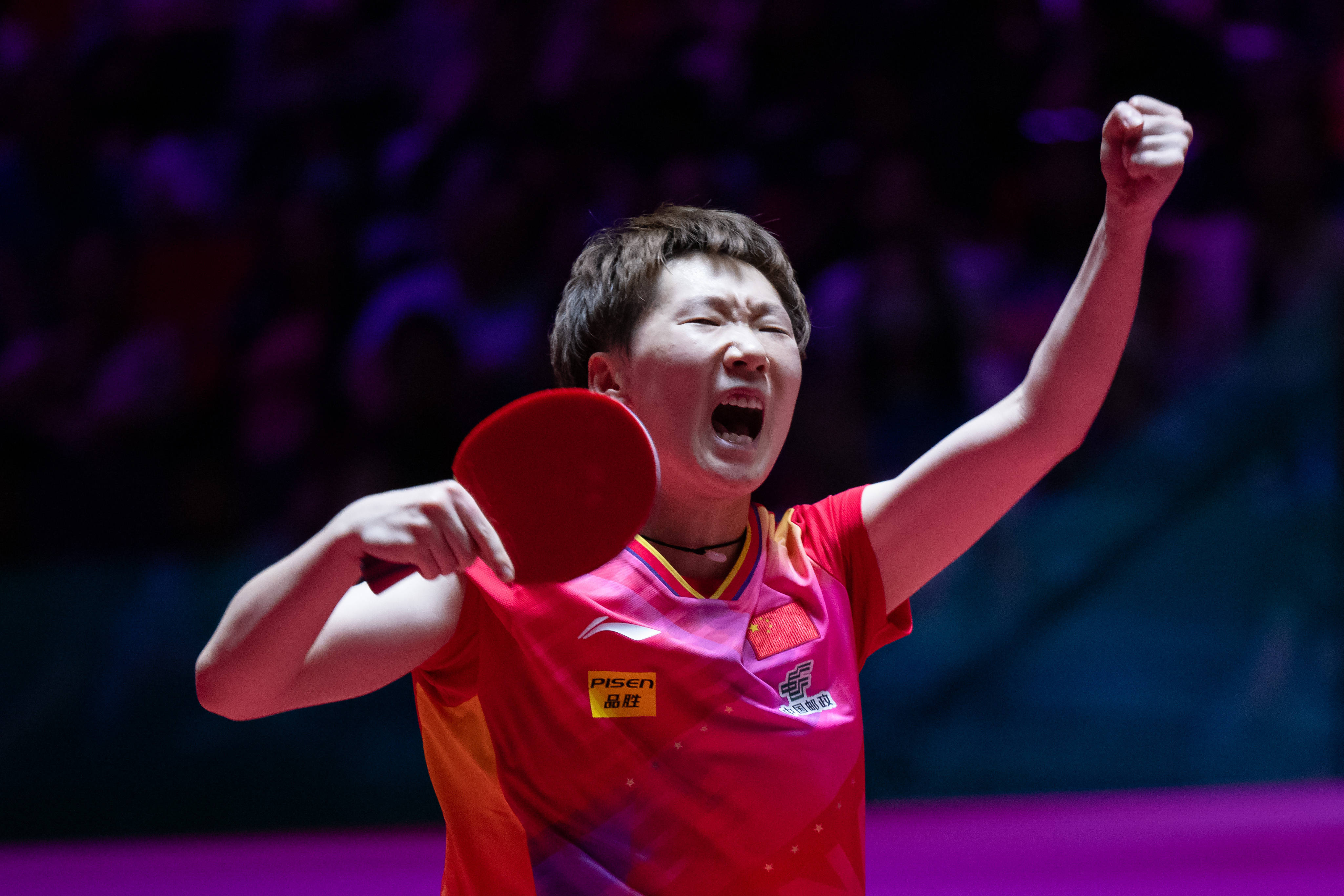 荷兰教练希 荷兰教练希