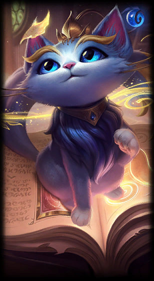 在这个特殊 在这个特殊