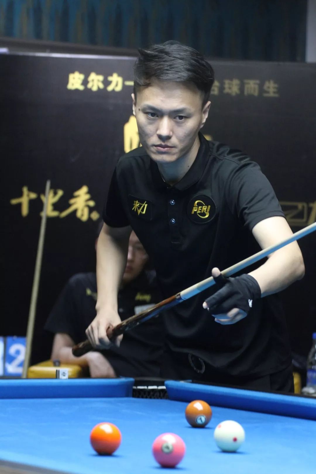 此次被安排 此次被安排