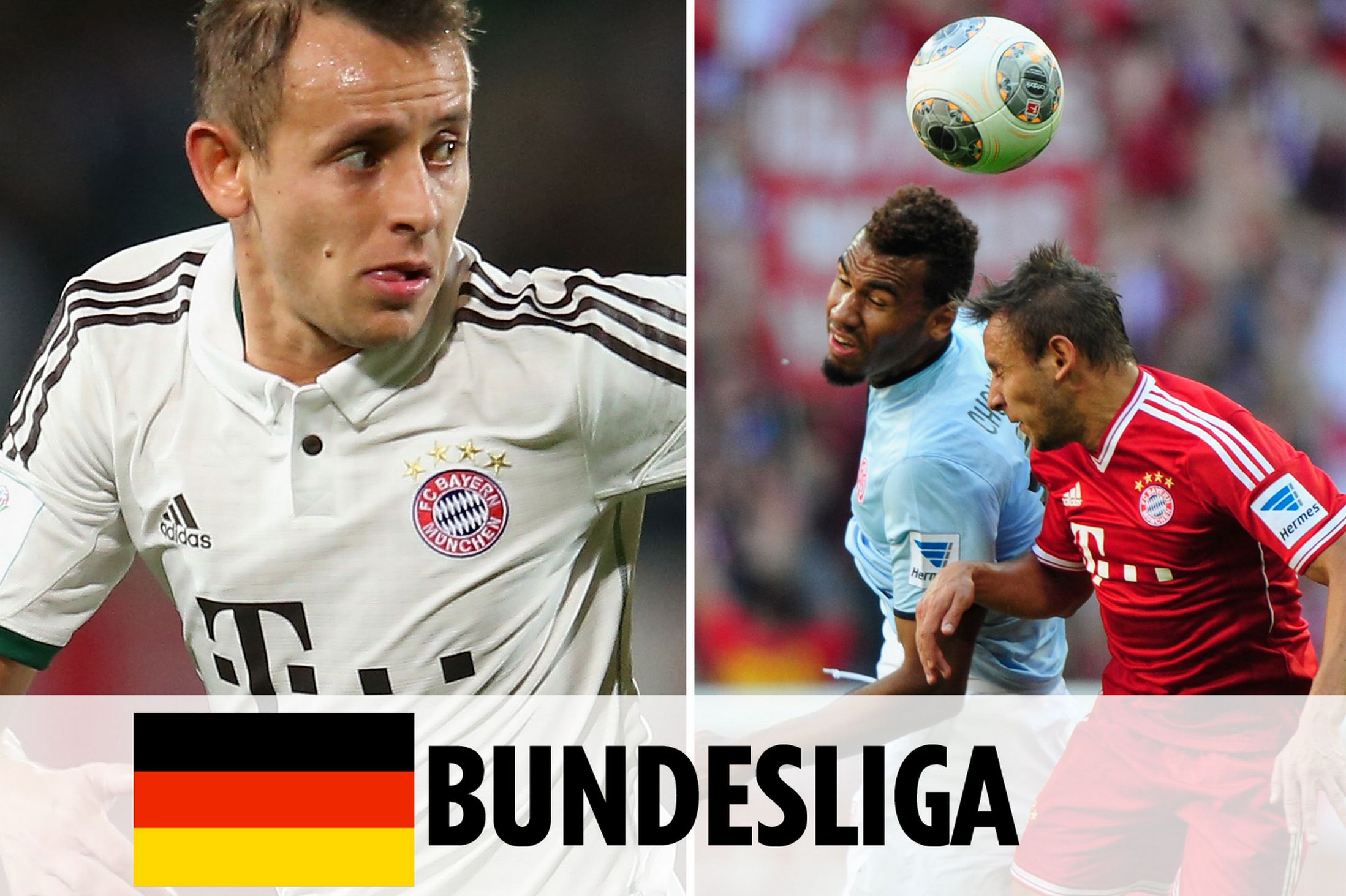 希望能掌控 希望能掌控