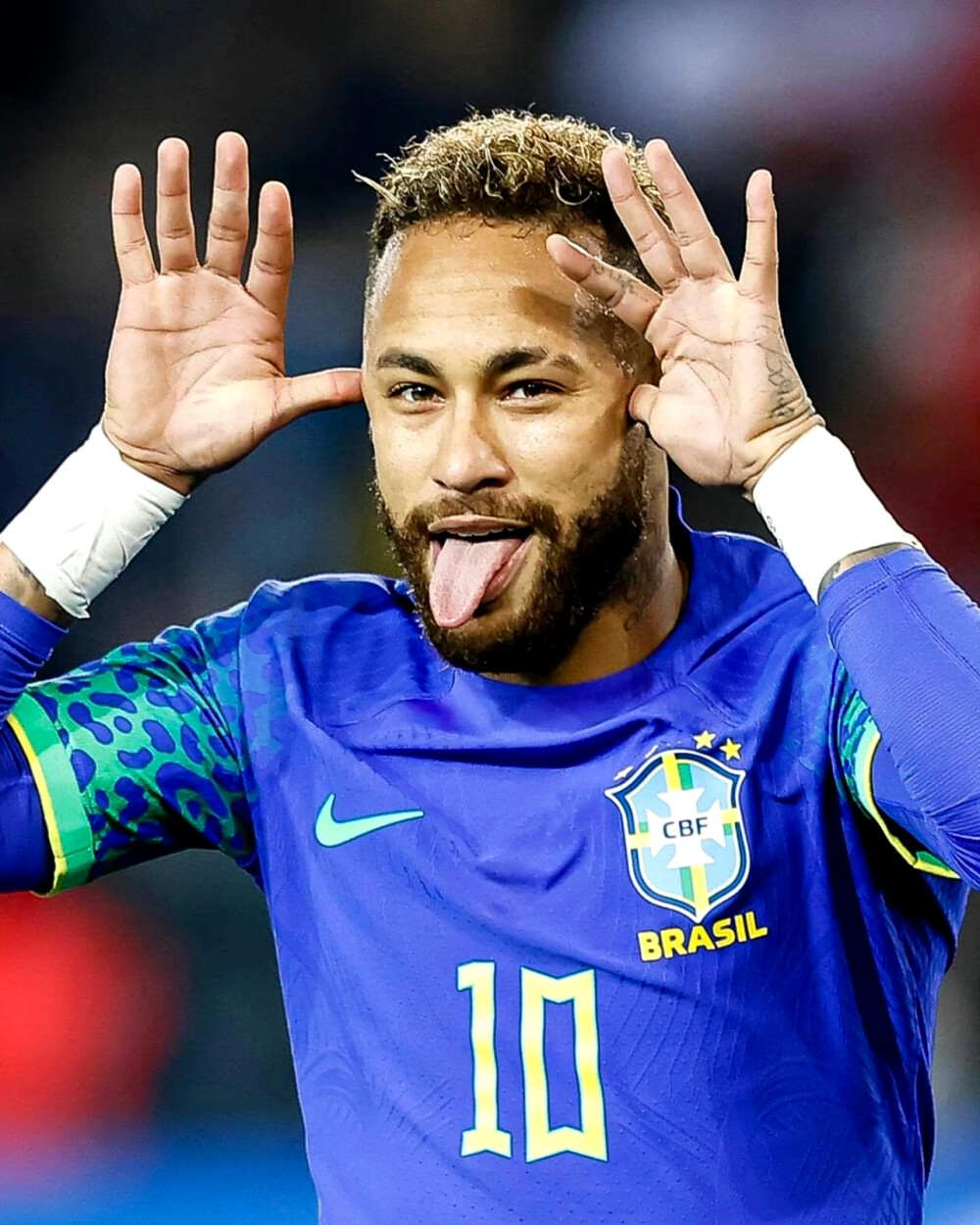 能够在季后 能够在季后