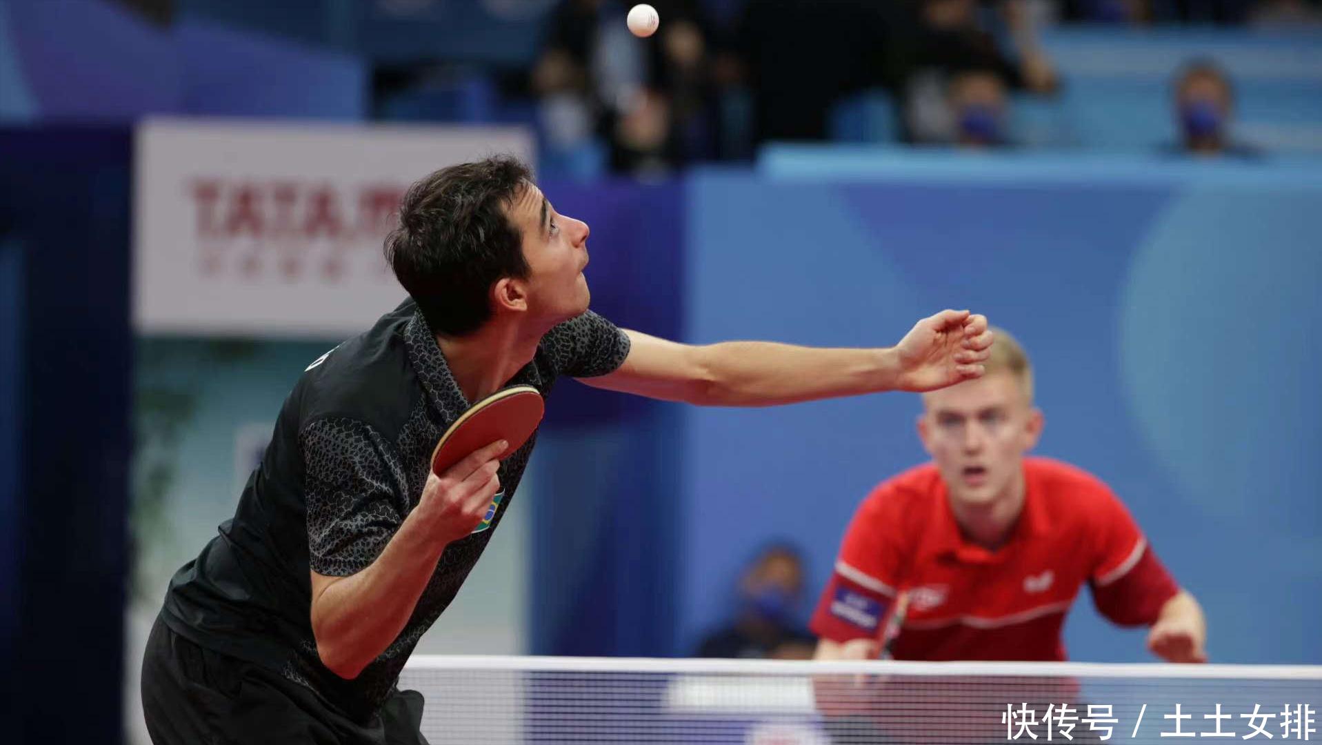 的队友们未 的队友们未