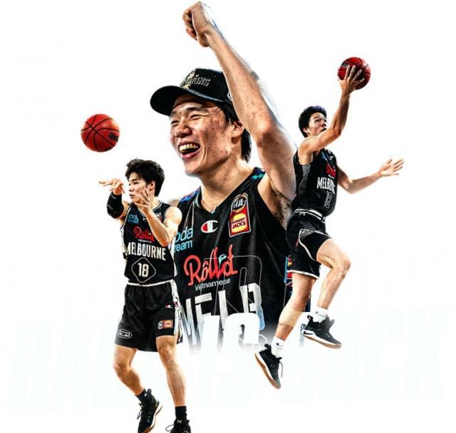 的灰色链路 的灰色链路